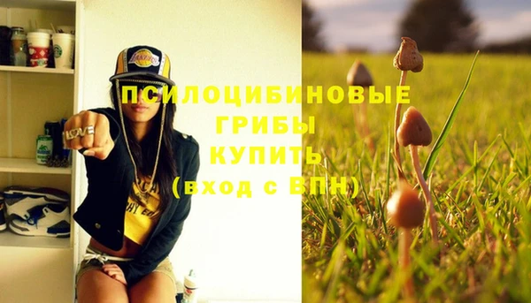хмурый Армянск